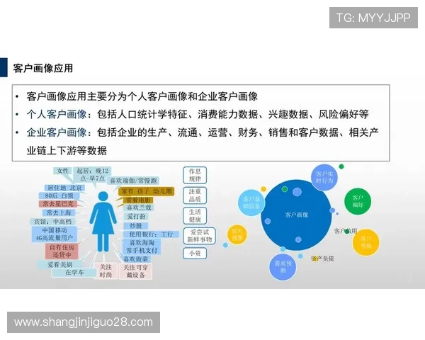 业内专家解析pg客户端在大数据环境下的稳定性与优化策略