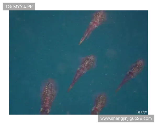 如何通过PG娱乐国际官网入口顺利注册并开始娱乐体验