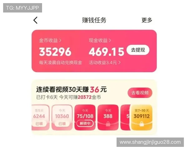 掌握pG赚钱网站大小双的核心技巧实现收益翻倍的实用经验分享