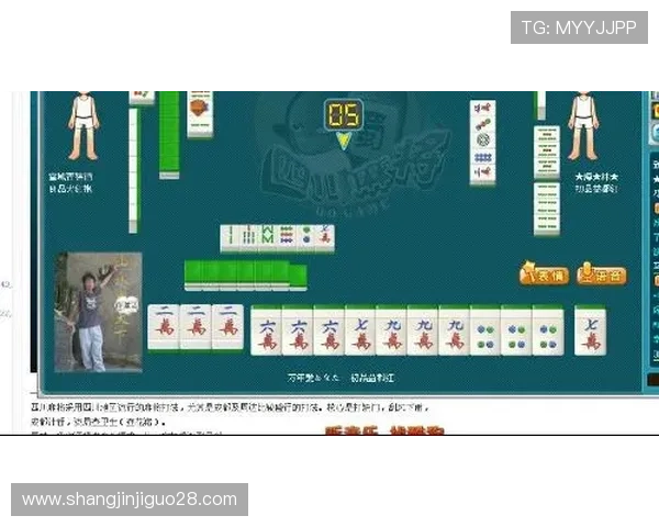 PG麻将胡了外挂的常见问题与解决方案玩家必备的实用指南