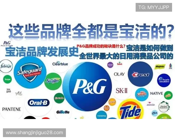 PG国际国际品牌值得信赖，分析其合法运营与透明管理如何赢得广大玩家的长期信赖